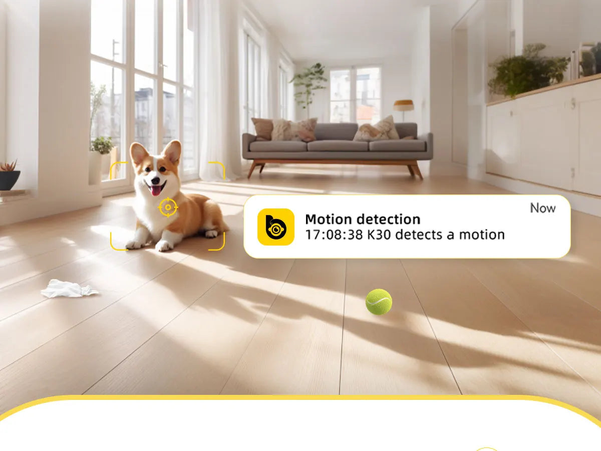 360° WiFi Pet Camera