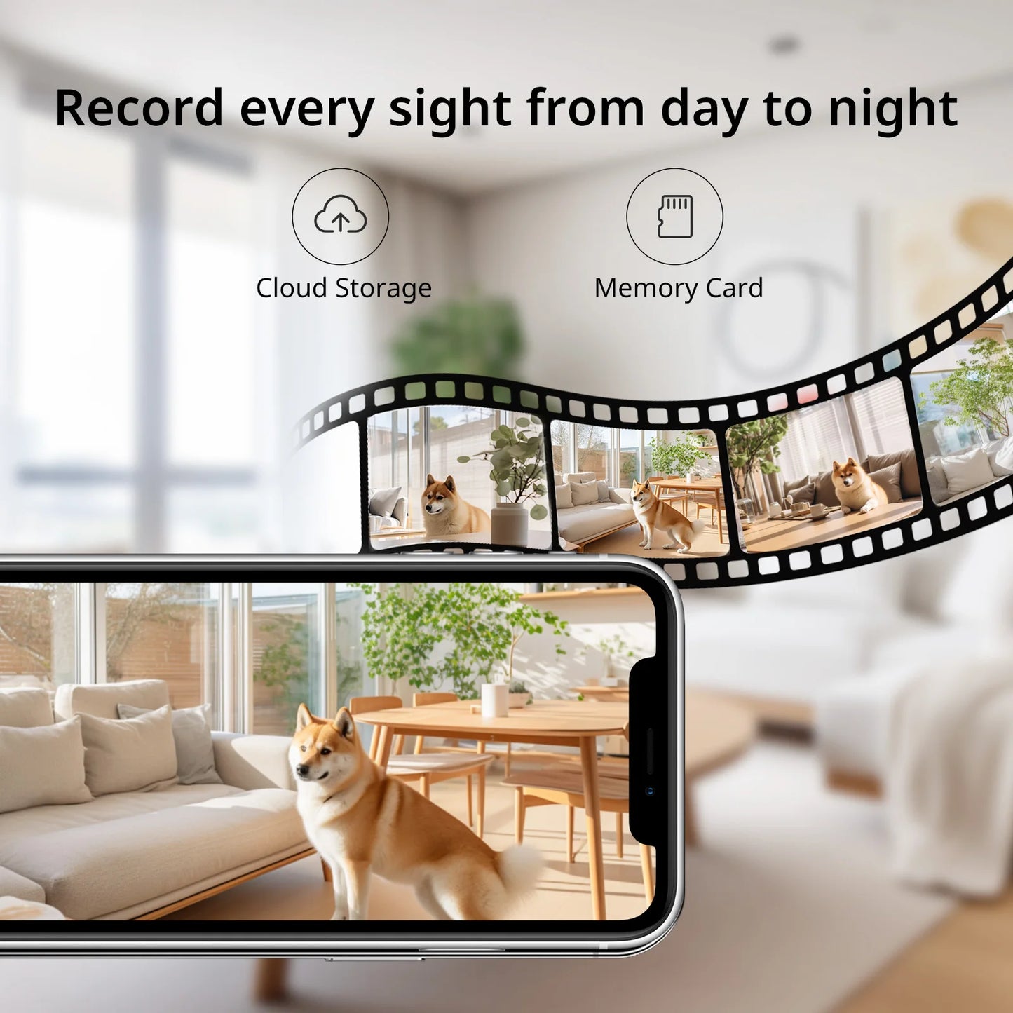 360° WiFi Pet Camera