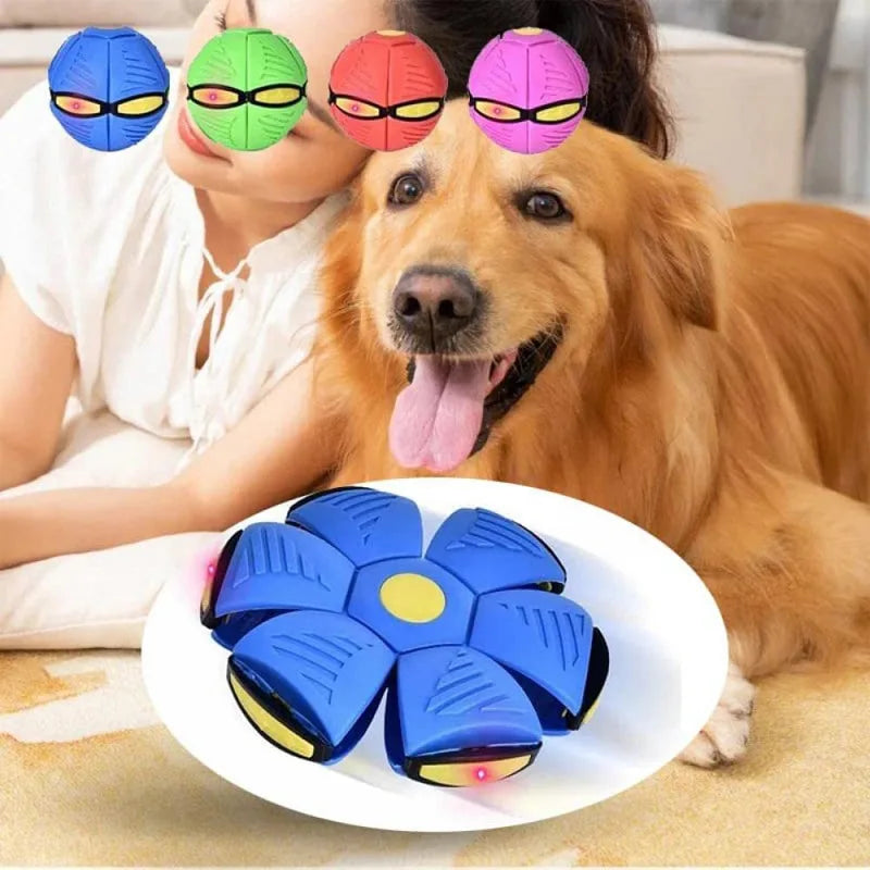 UFO Morph Fetch Ball