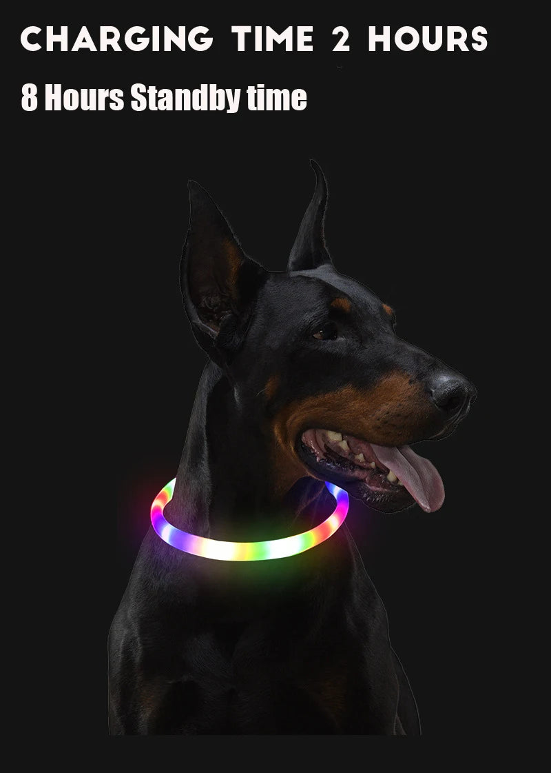 USB Rechargeable LED Dog Collar