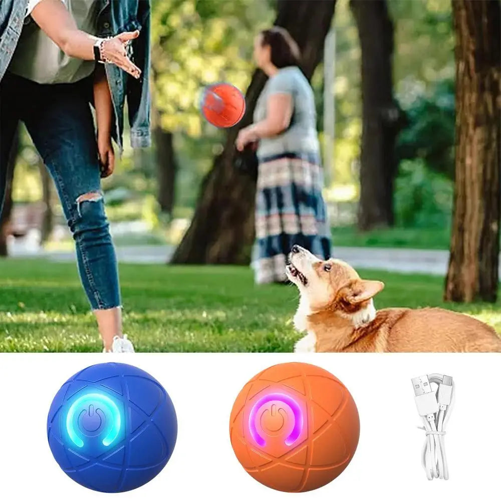 LED Self-Rolling Dog Ball