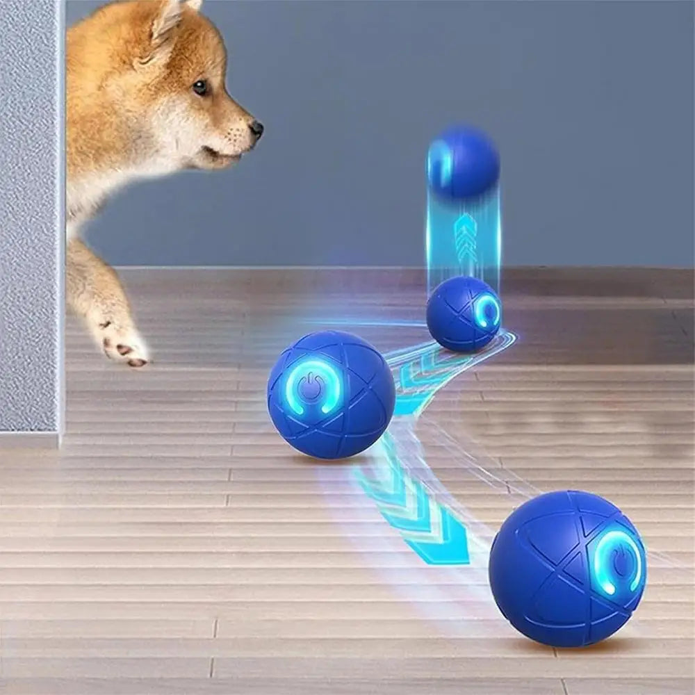 LED Self-Rolling Dog Ball