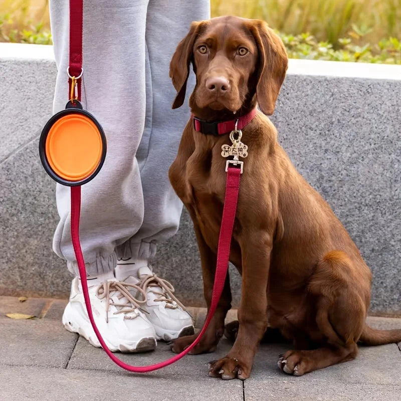 Collapsible Pet Travel Bowl