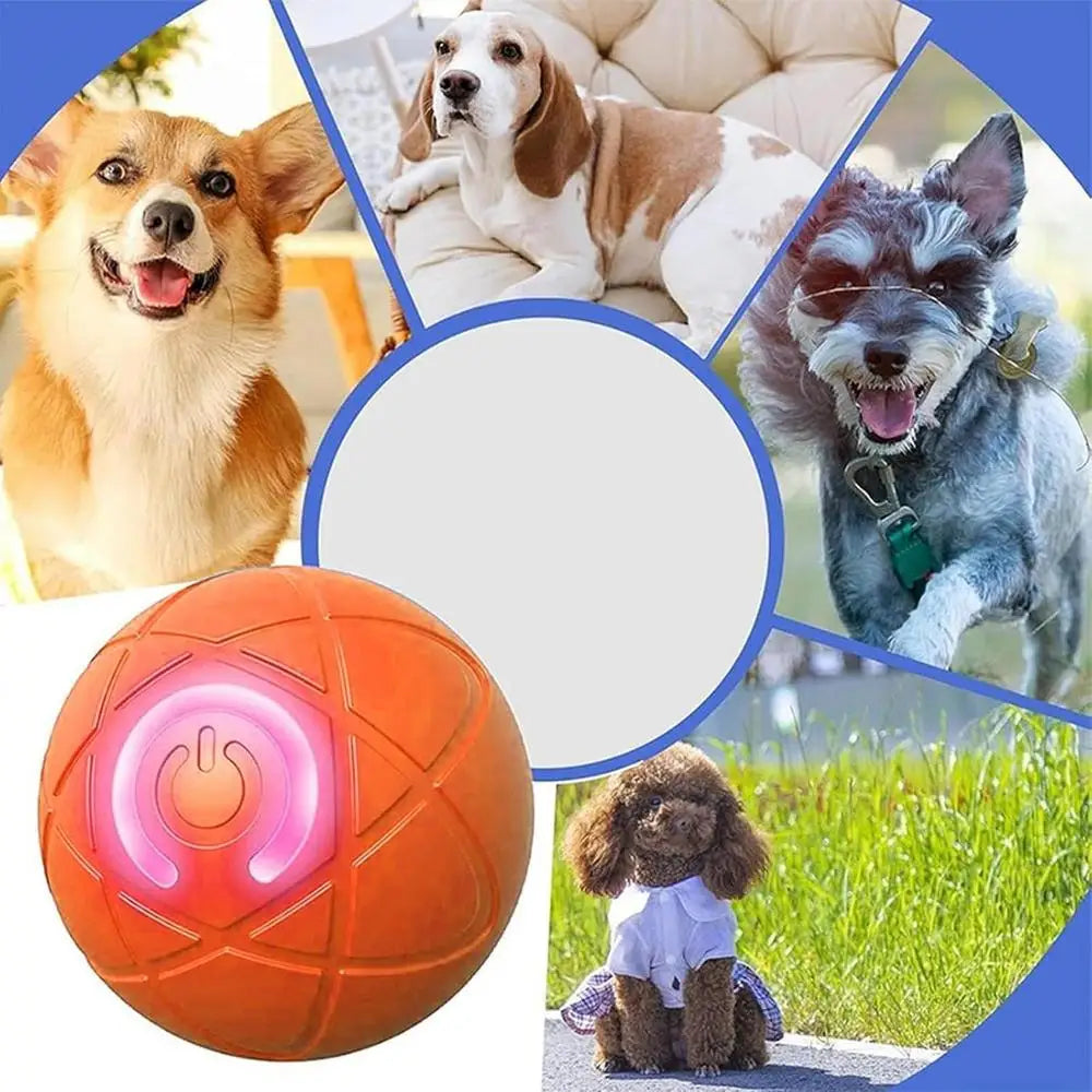 LED Self-Rolling Dog Ball