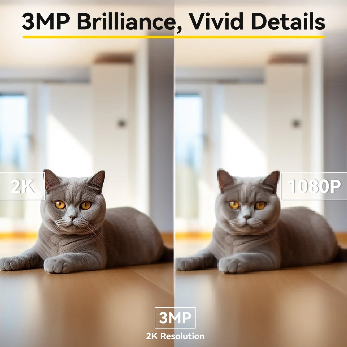 360° WiFi Pet Camera