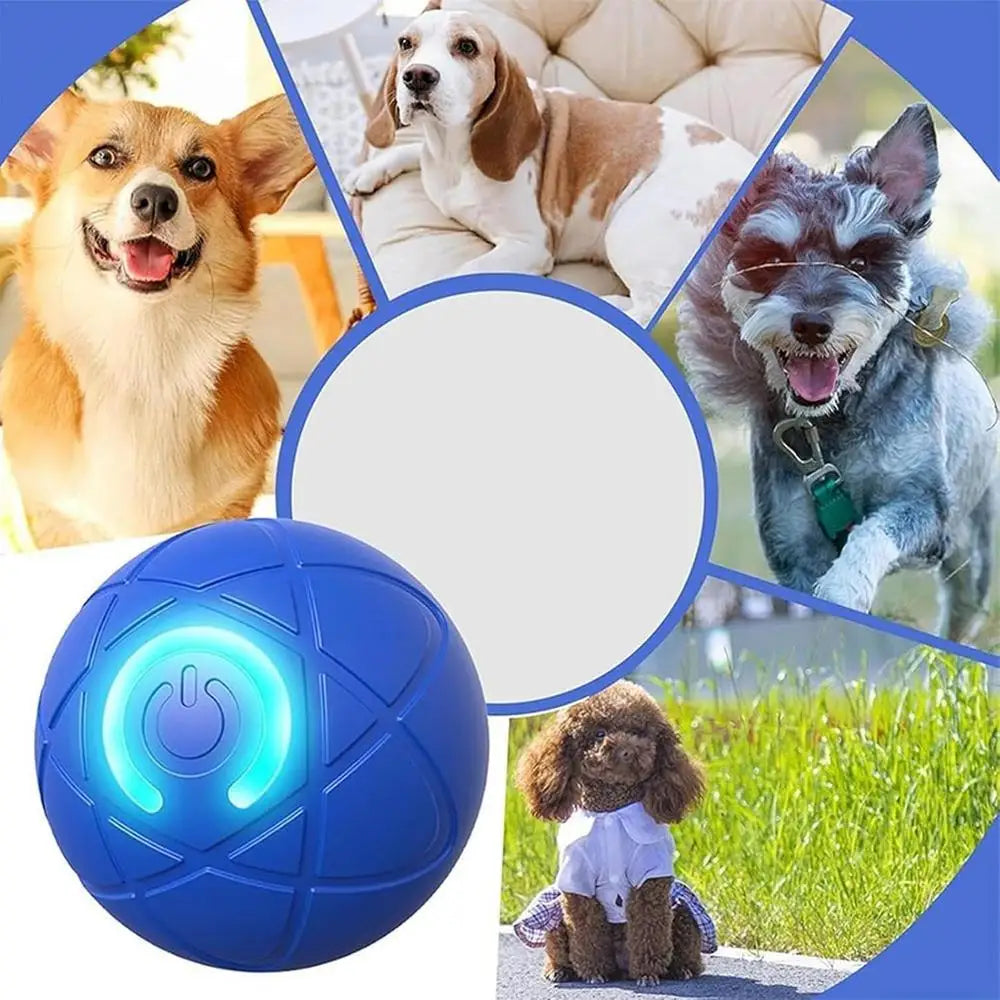 LED Self-Rolling Dog Ball