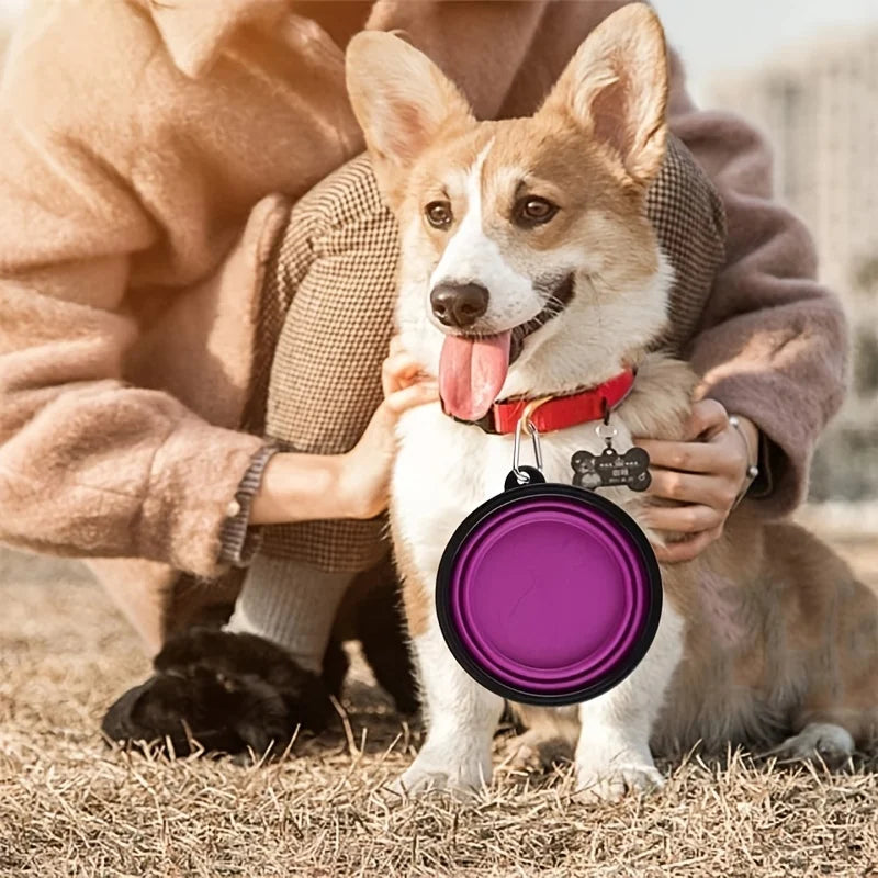 Collapsible Pet Travel Bowl