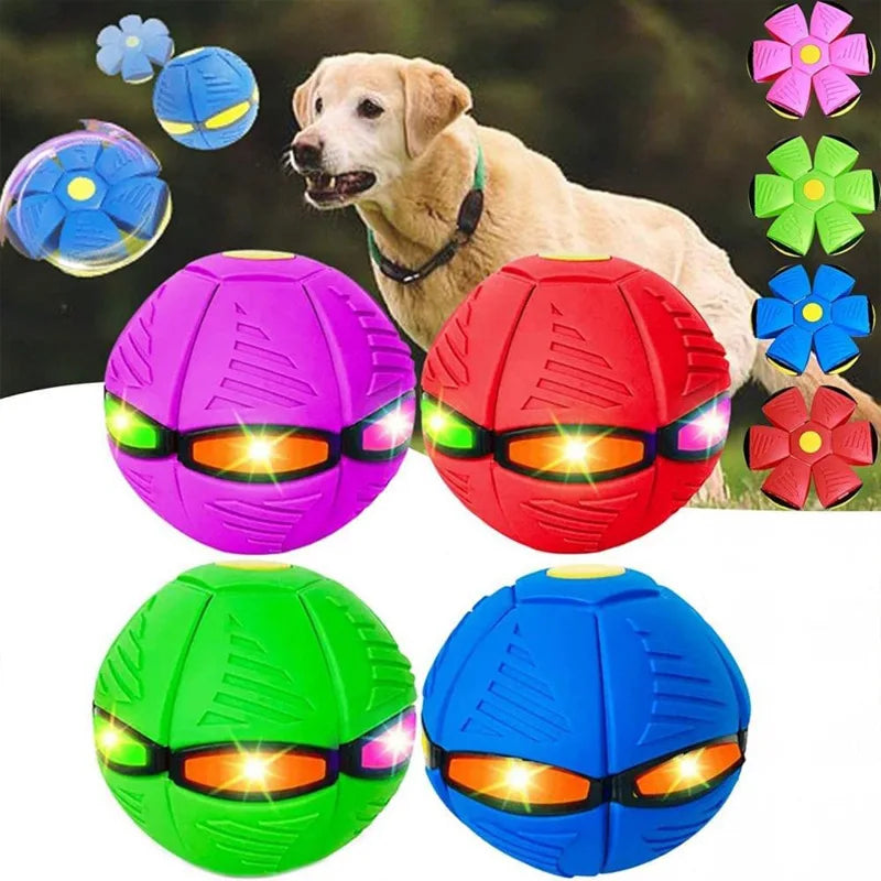 UFO Morph Fetch Ball